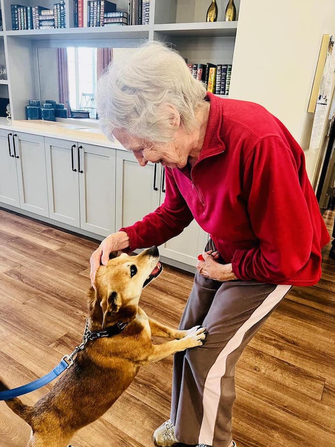 Senior woman bending down to pet a dog