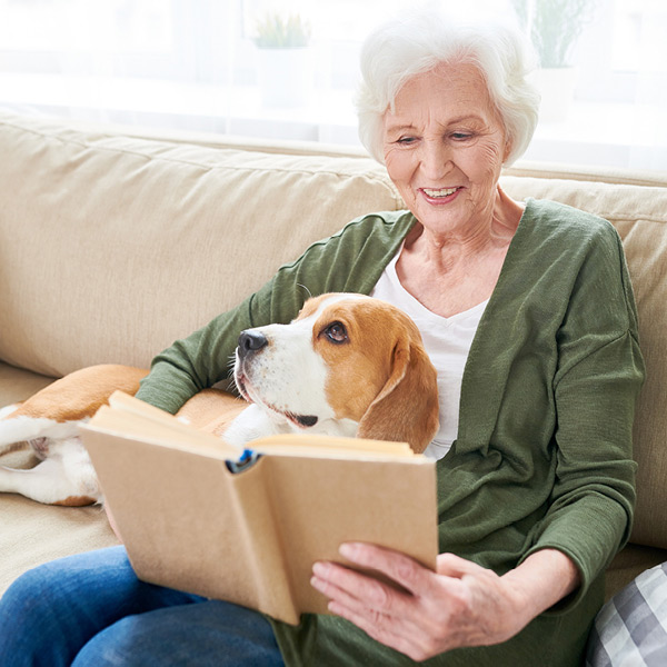 An elderly woman with white hair is sitting on a beige sofa, smiling while holding an open book. A beagle dog rests its head on her lap, looking in the same direction as the book. Sunlight filters through sheer curtains in the background.