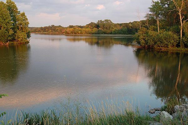 A tranquil lakeside scene with calm water reflecting the sky and surrounding green trees. Tall grass and bushes line the shore, and the sky is partly cloudy, suggesting a peaceful, serene environment.