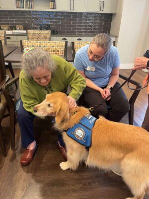 An elderly woman pets a golden retriever therapy dog wearing a blue vest in a room with chairs and a tiled wall. Another woman is sitting nearby, holding the dog’s leash and watching the interaction with a smile.